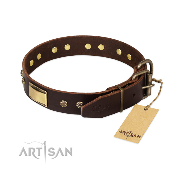 Daily walking full grain leather collar with embellishments for your four-legged friend
