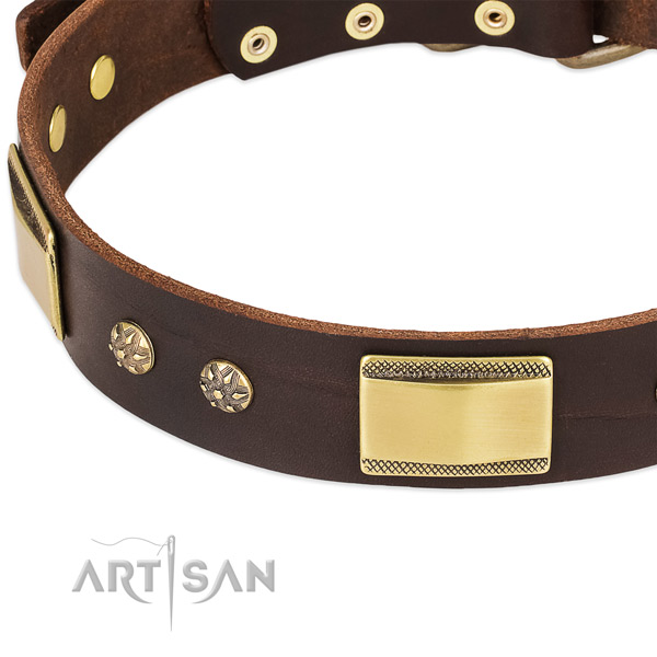 Daily walking full grain leather collar with rust-proof buckle and D-ring