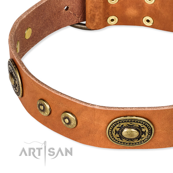 Snugly fitted leather dog collar with extra strong rust-proof fittings