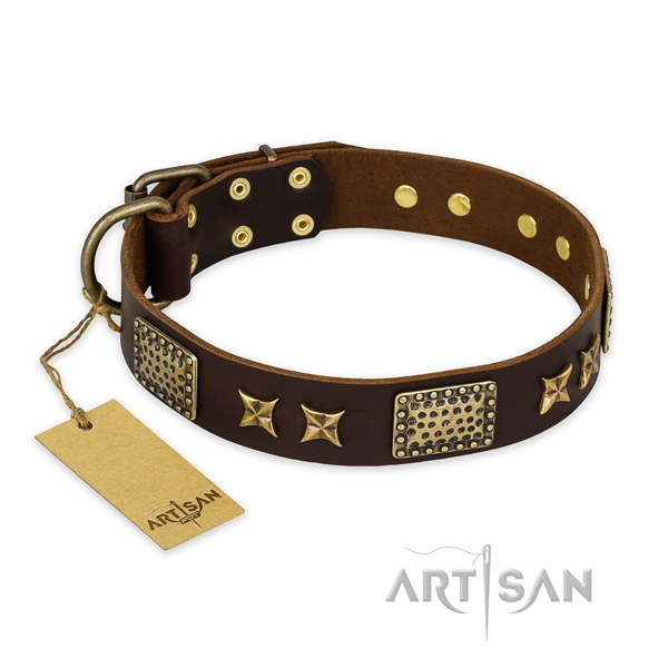Walking full grain genuine leather collar with embellishments for your four-legged friend