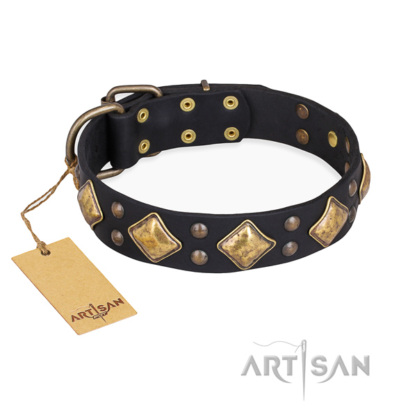 Significant design embellishments on leather dog collar