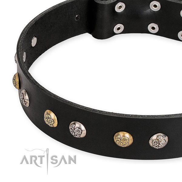 Quick to fasten leather dog collar with resistant to tear and wear durable hardware