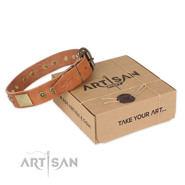 Designer full grain leather dog collar for everyday use