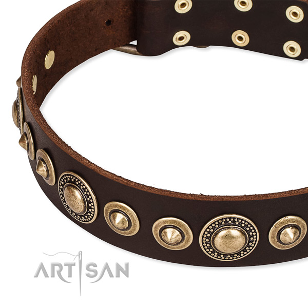 Snugly fitted leather dog collar with almost unbreakable durable fittings
