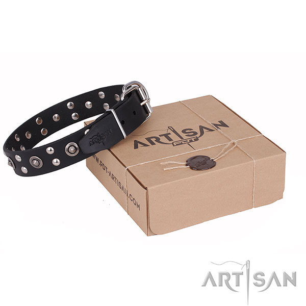 Awesome full grain natural leather dog collar for daily walking