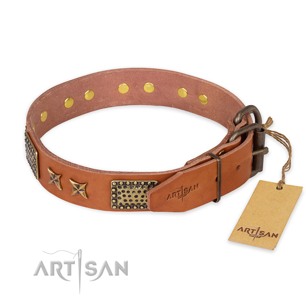 Everyday walking full grain natural leather collar with adornments for your pet
