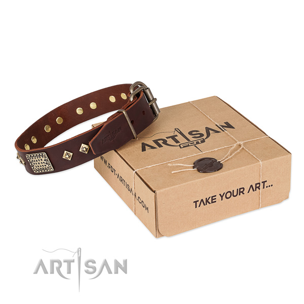 Fine quality full grain leather dog collar for everyday walking