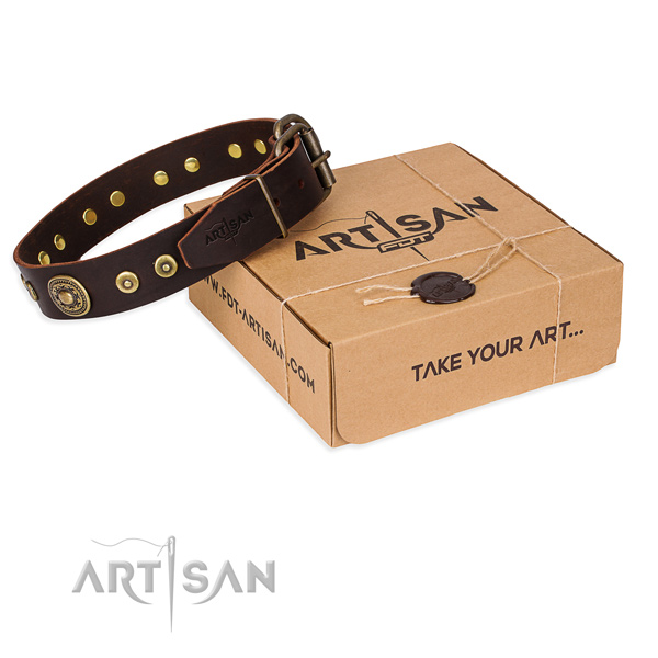 Finest quality full grain genuine leather dog collar for everyday walking