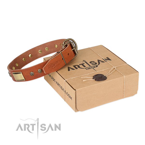 Stylish full grain genuine leather dog collar for stylish walking