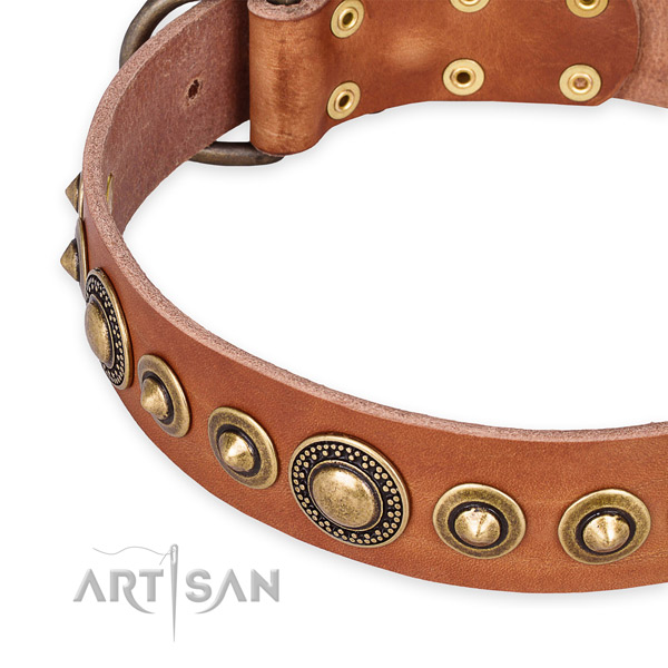 Quick to fasten leather dog collar with extra sturdy old bronze-like plated set of hardware