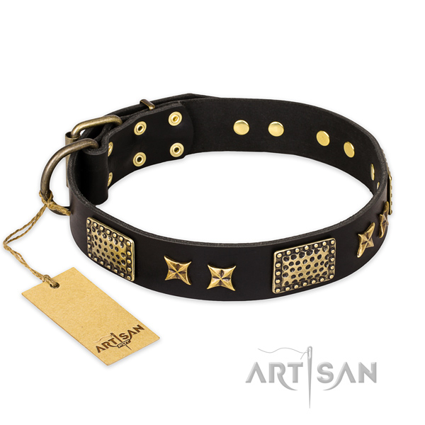 Walking full grain natural leather collar with decorations for your dog