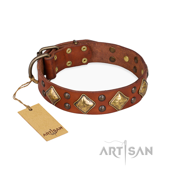 Extraordinary design embellishments on genuine leather dog collar