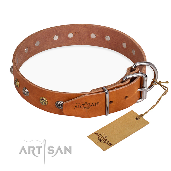 Everyday leather collar for your beloved pet