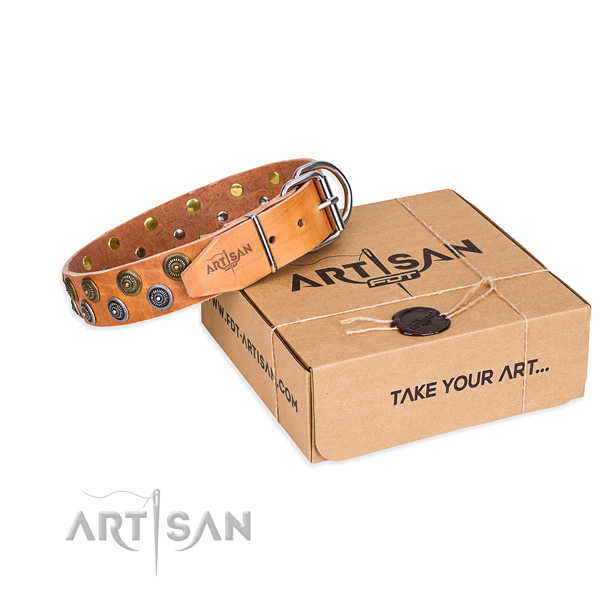 Trendy full grain natural leather dog collar for stylish walks