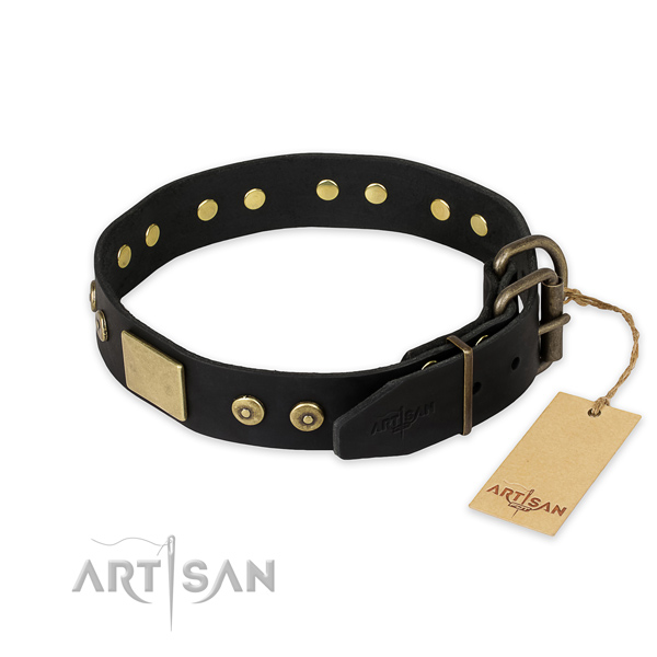 Everyday use full grain genuine leather collar with adornments for your doggie