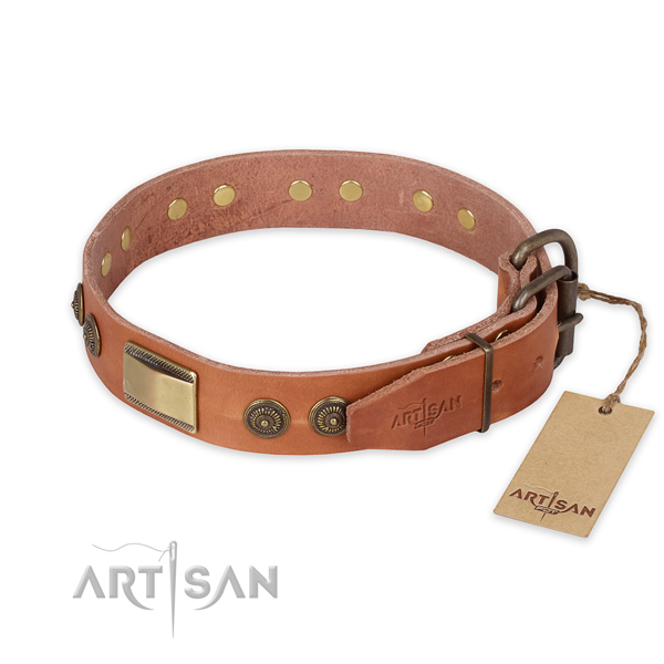 Everyday walking full grain leather collar with embellishments for your four-legged friend