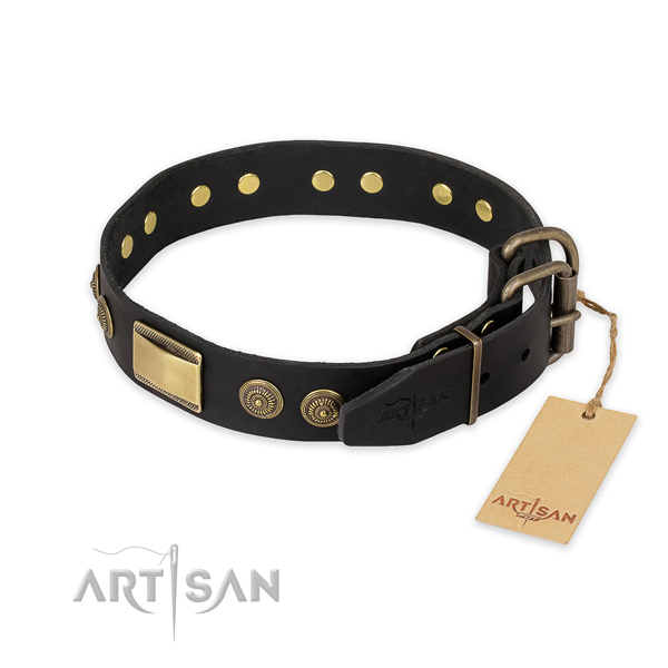 Walking leather collar with adornments for your pet