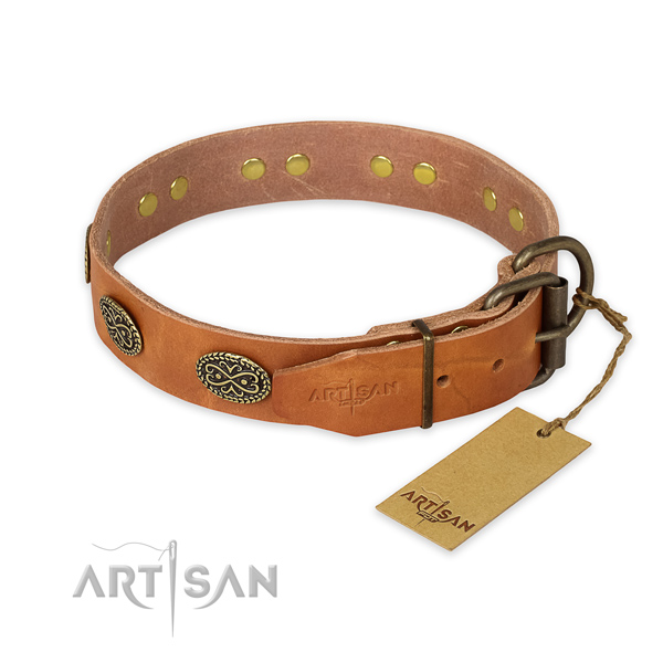 Daily use leather collar with adornments for your pet