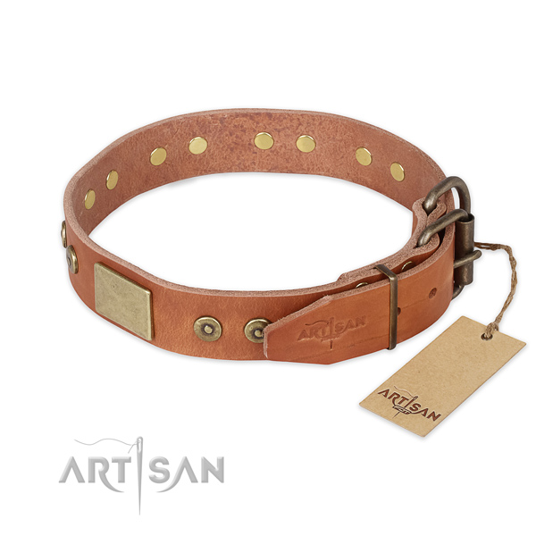 Walking genuine leather collar with embellishments for your pet
