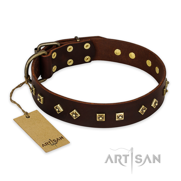 Awesome design adornments on full grain genuine leather dog collar