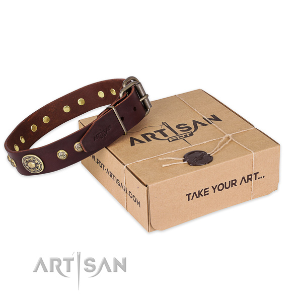 Trendy natural genuine leather dog collar for stylish walking