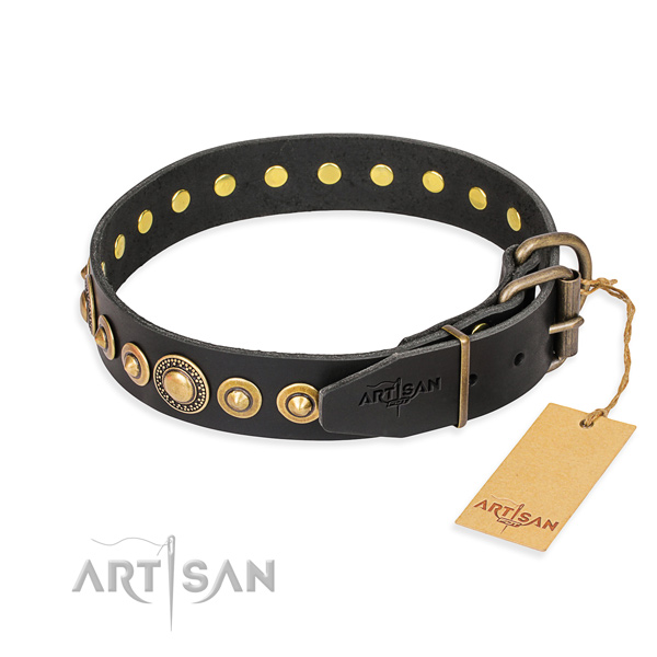 Awesome leather collar for your beloved dog