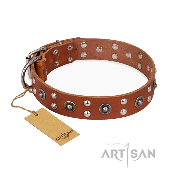 Top notch design adornments on full grain leather dog collar