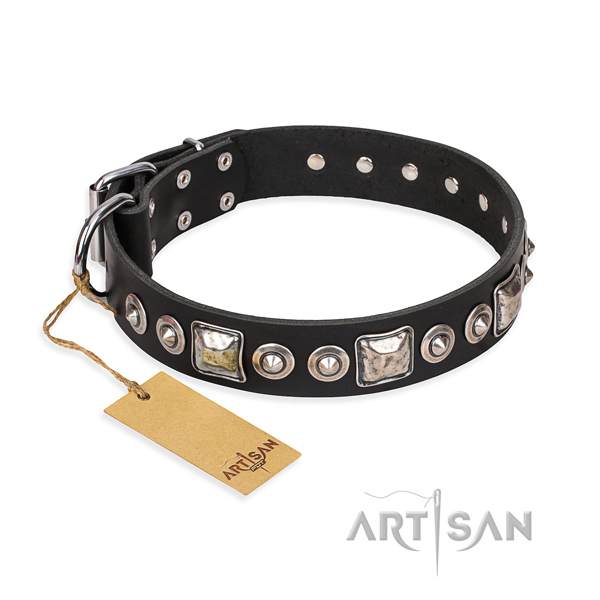 Tough leather dog collar with chrome plated fittings