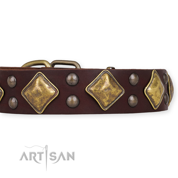 Adjustable leather dog collar with resistant to tear and wear brass plated fittings