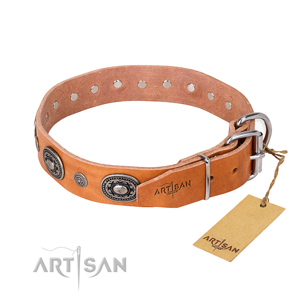 Tear-proof leather collar for your stunning dog