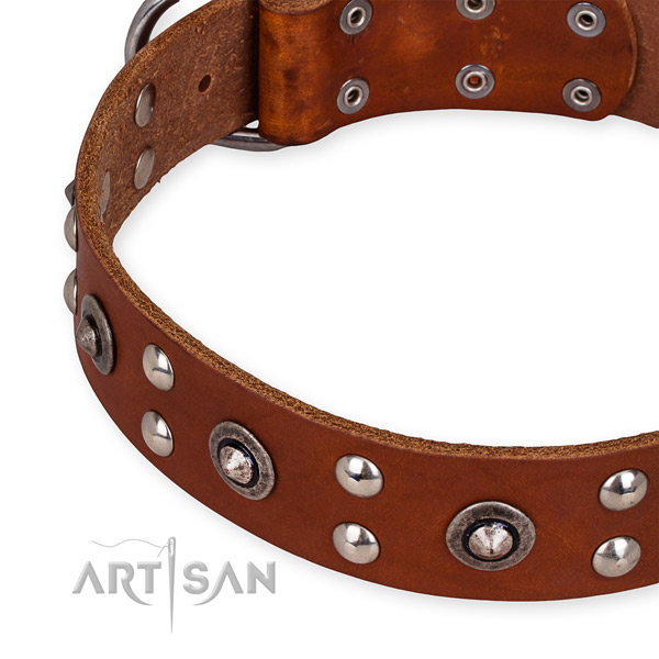 Quick to fasten leather dog collar with extra strong brass plated buckle and D-ring