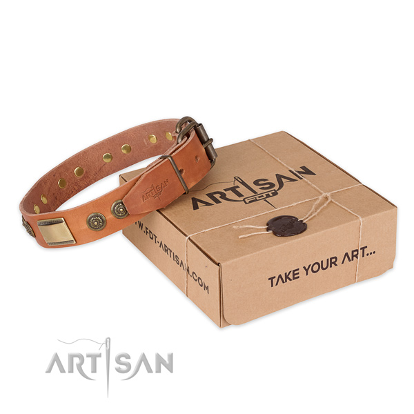 Finest quality full grain leather dog collar for stylish walks