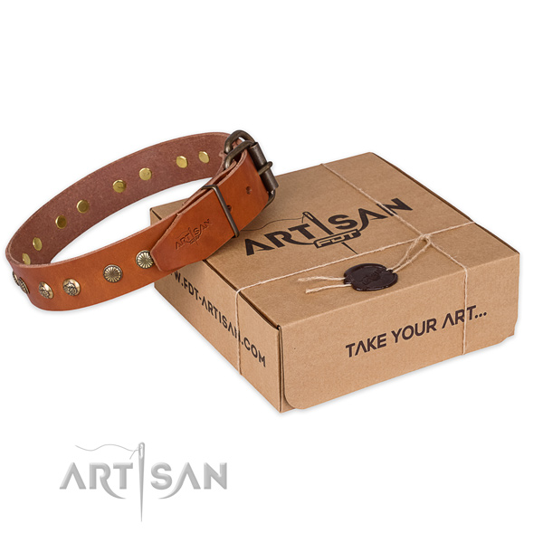 Finest quality full grain natural leather dog collar for stylish walking