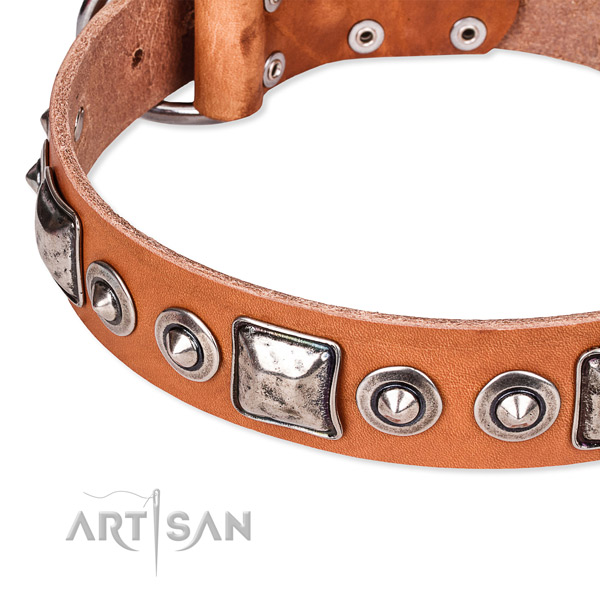 Easy to adjust leather dog collar with almost unbreakable rust-proof fittings