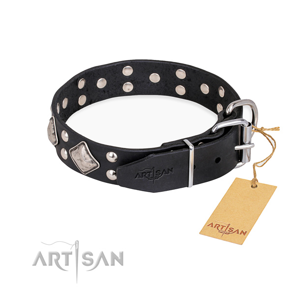 Practical leather collar for your darling canine