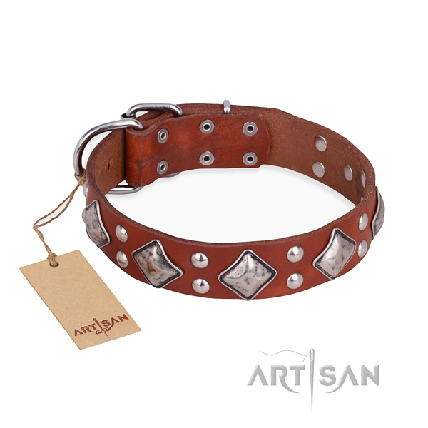 Trendy design decorations on full grain genuine leather dog collar