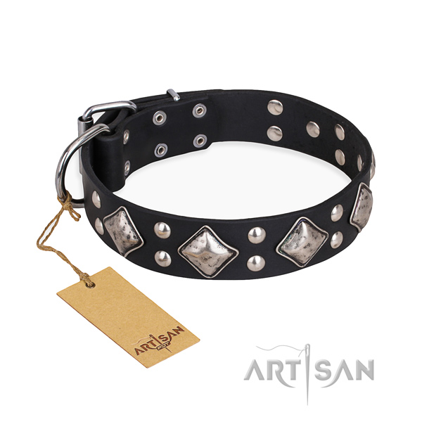 Impressive design studs on full grain leather dog collar