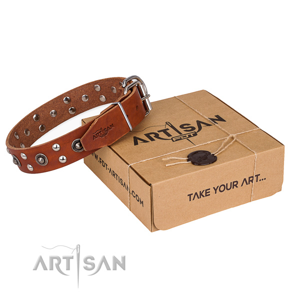 Finest quality full grain genuine leather dog collar for walking