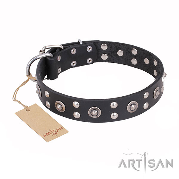 Significant design embellishments on full grain leather dog collar