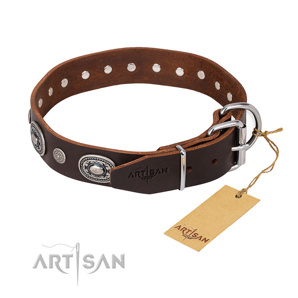 Versatile leather collar for your beloved dog