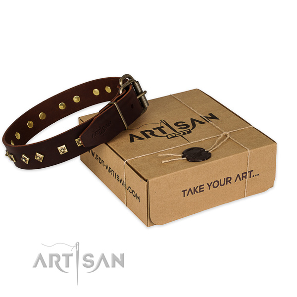 Incredible genuine leather dog collar for stylish walks
