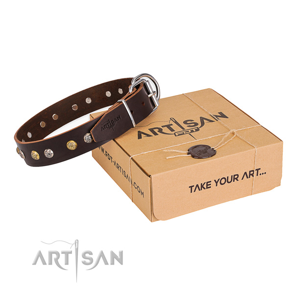 Trendy full grain genuine leather dog collar for everyday use