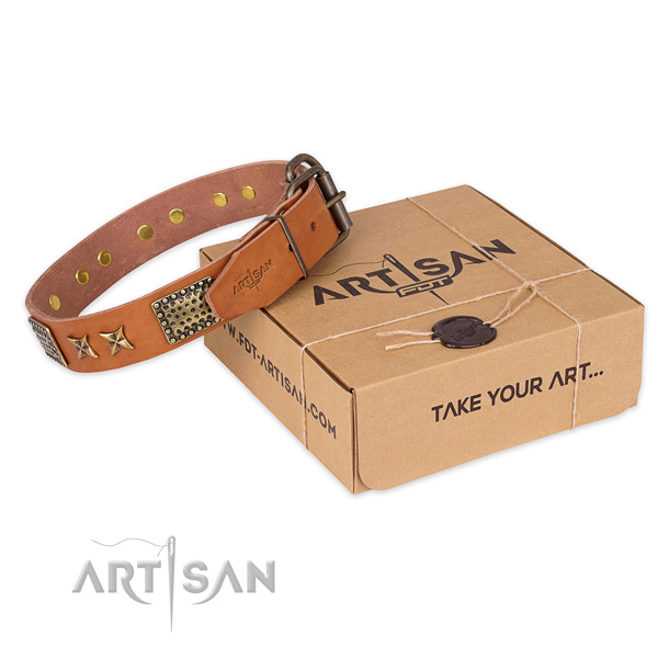 Incredible natural genuine leather dog collar for walking in style