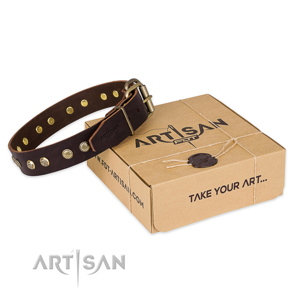 High quality genuine leather dog collar for stylish walking