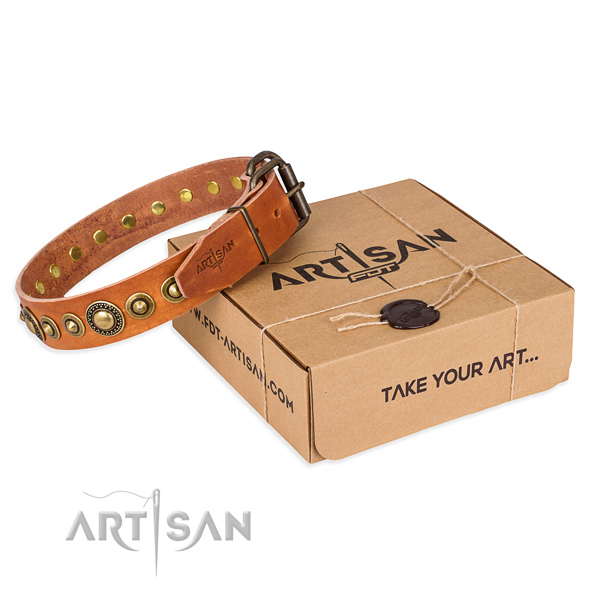 Incredible full grain natural leather dog collar for everyday use
