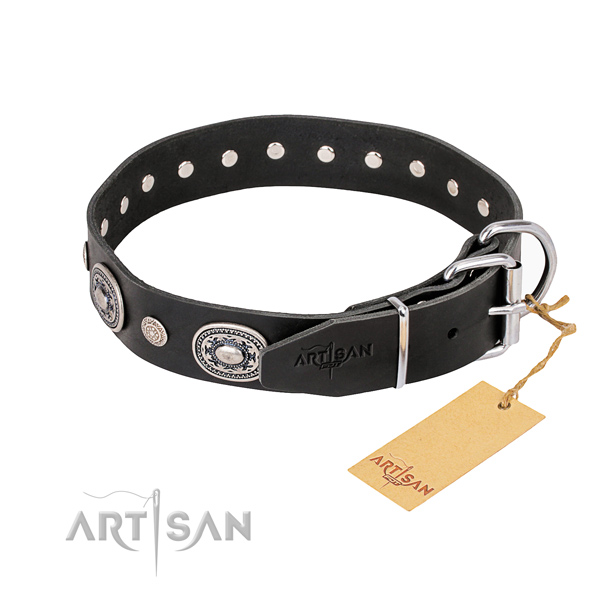 Durable leather collar for your beloved four-legged friend