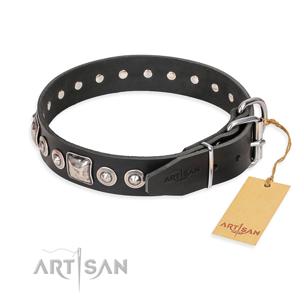 Stylish leather collar for your noble pet