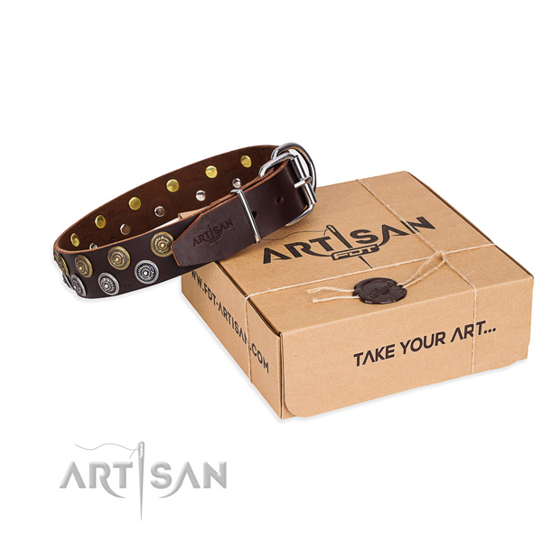 Casual style leather dog collar with luxurious adornments