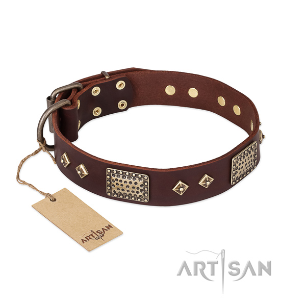 Remarkable design studs on full grain leather dog collar