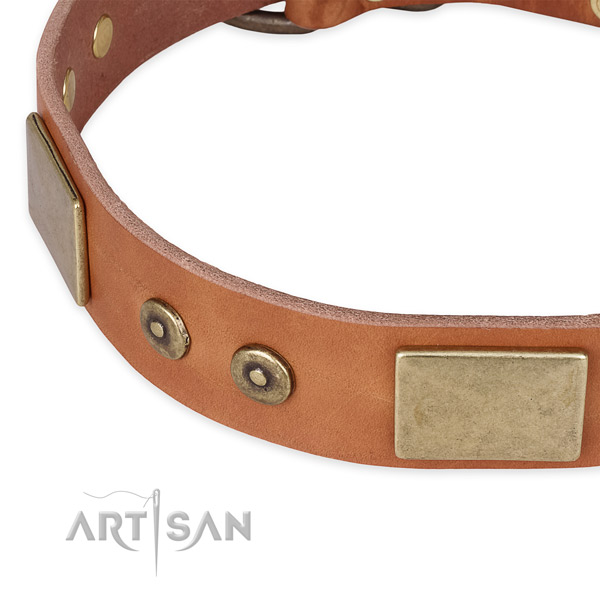 Walking full grain genuine leather collar with corrosion resistant buckle and D-ring